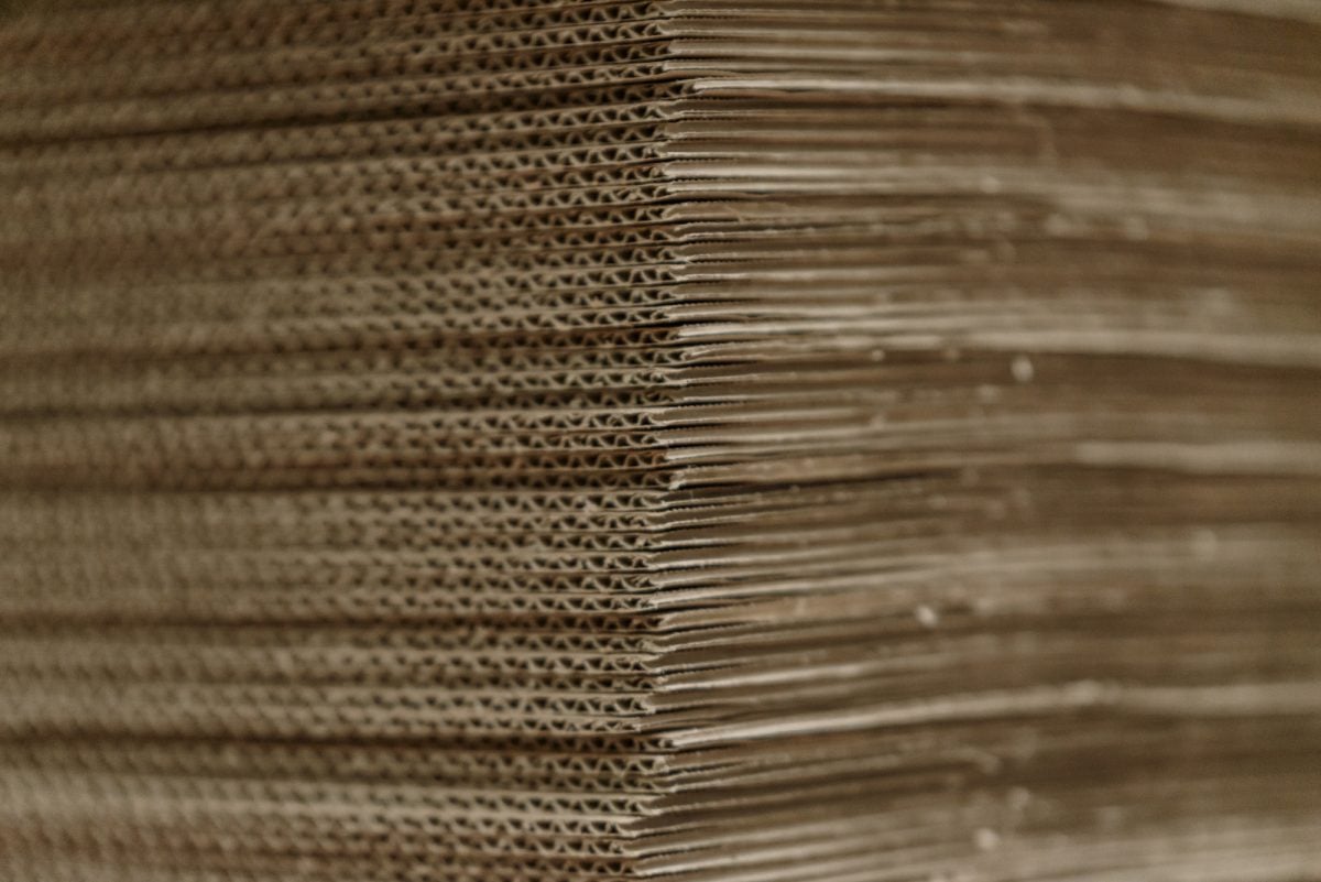 Cartón Habana 23x20x15 Cajas De Cartón Propac Z-BOY232015 - 20